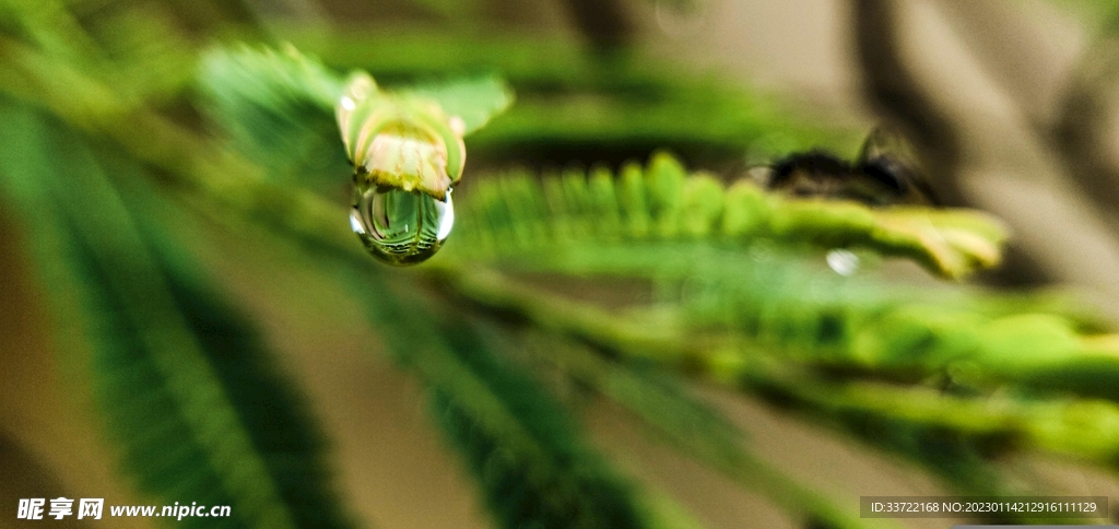 水滴水珠