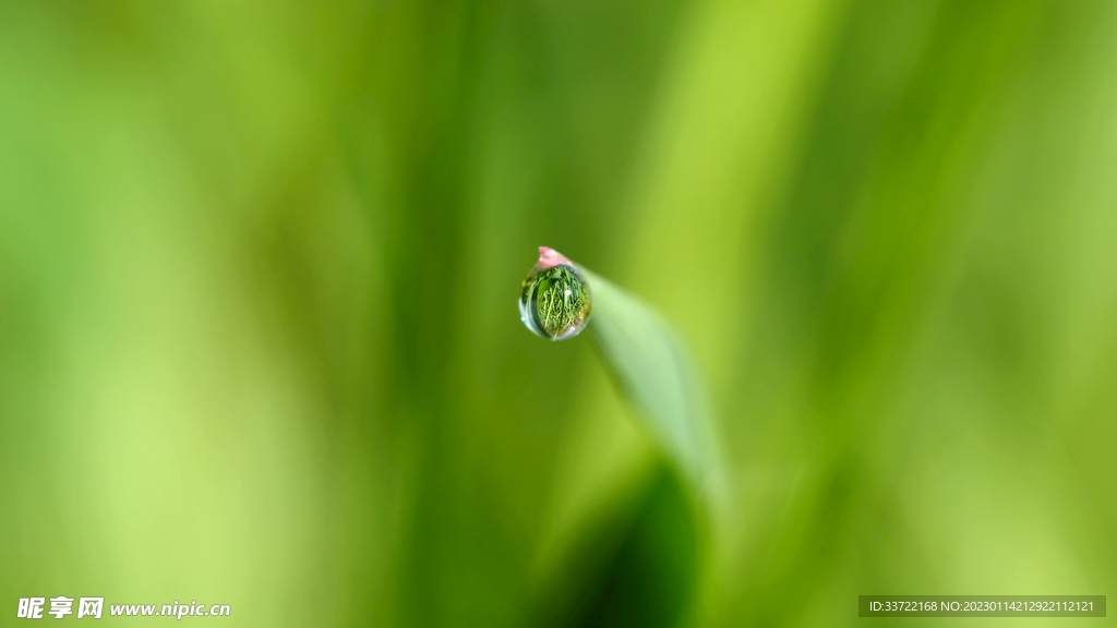 水滴水珠