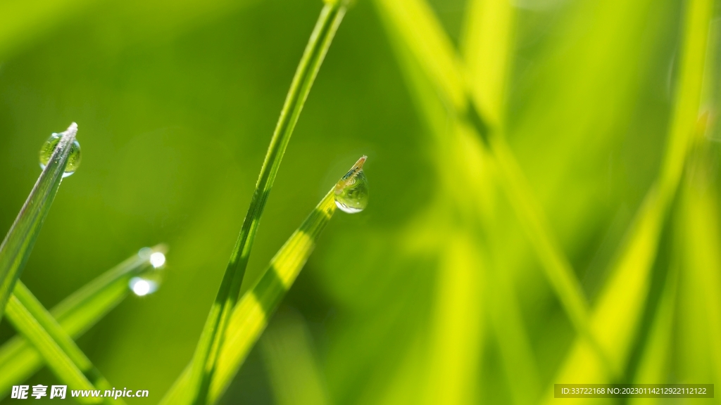 水滴水珠