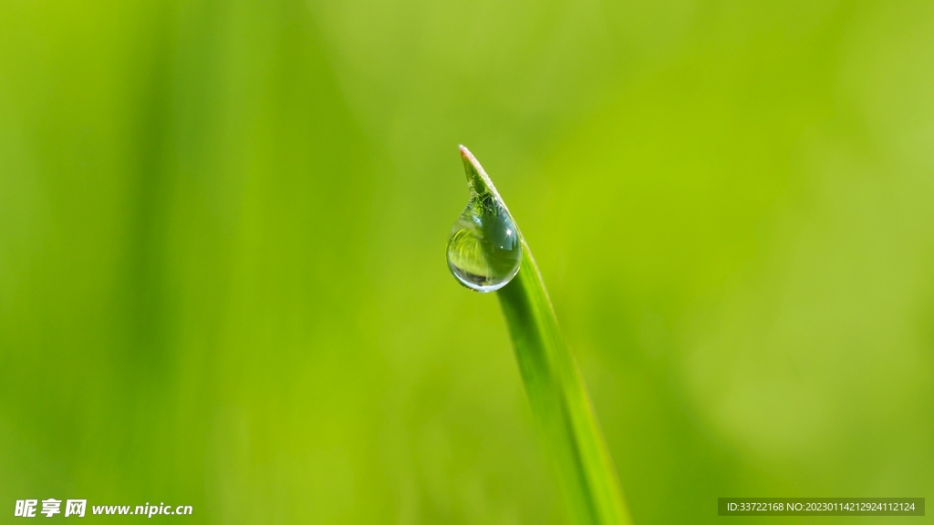 水滴水珠