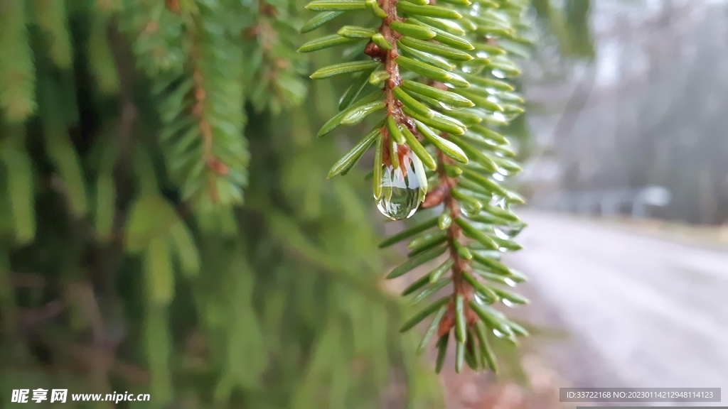 水滴水珠