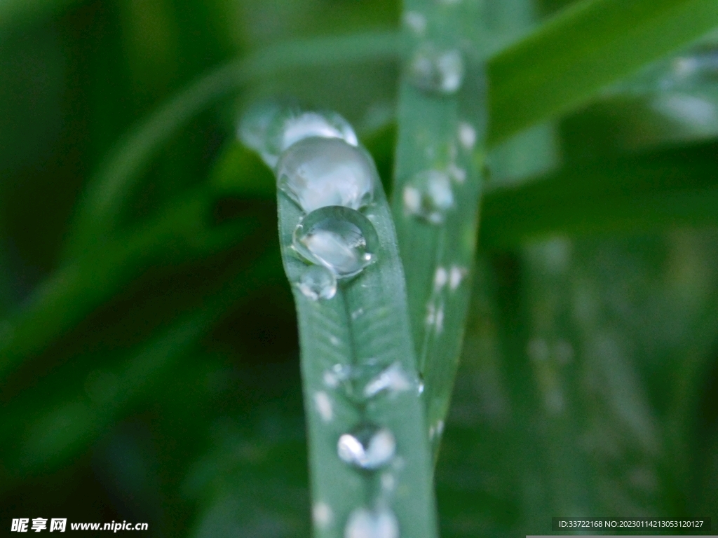 水滴水珠