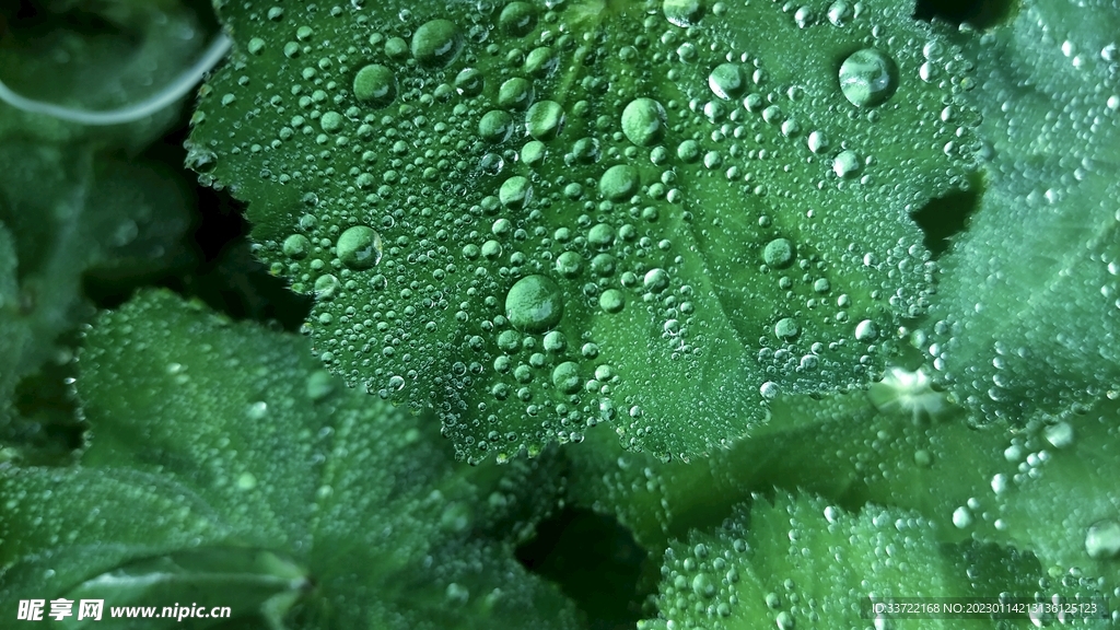 水滴水珠