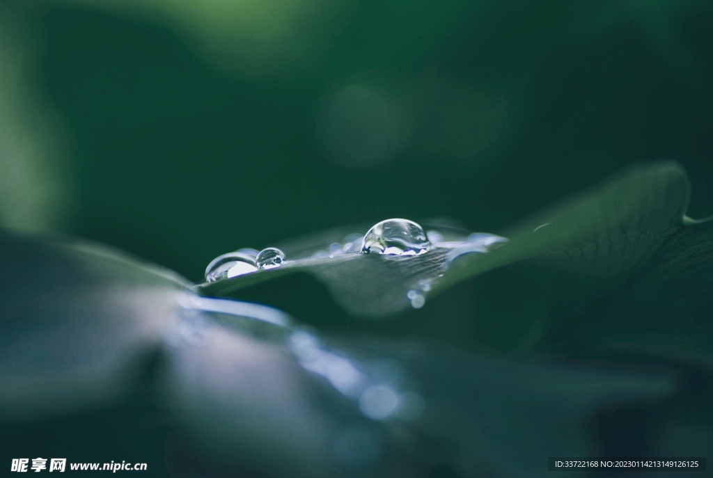 水滴水珠