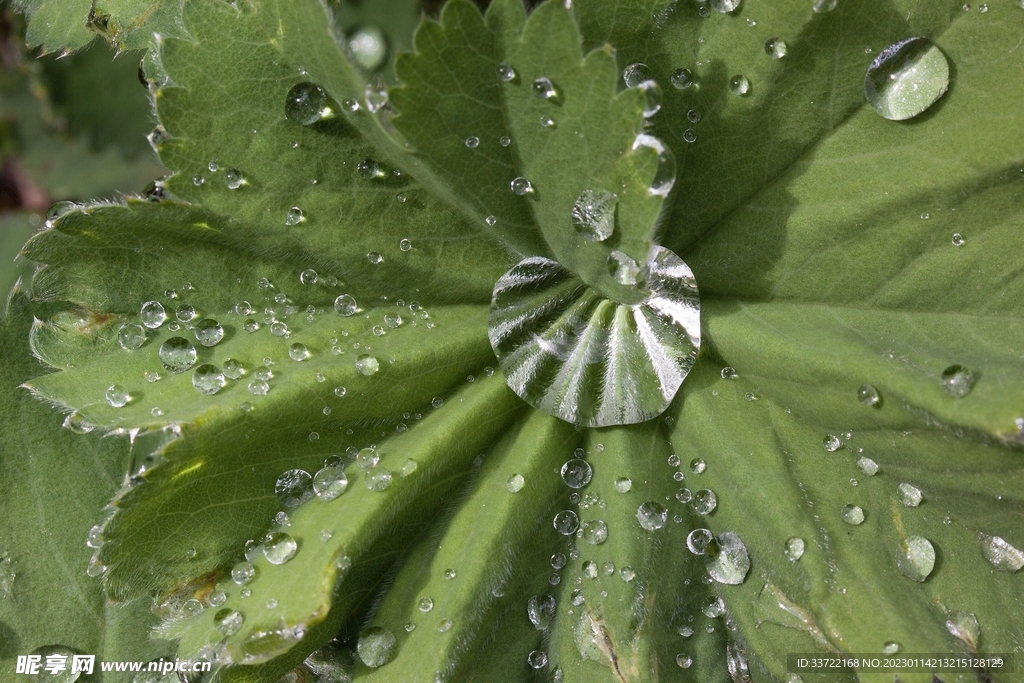 水滴水珠