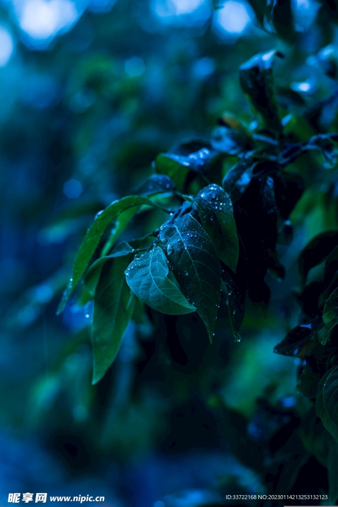 水滴水珠