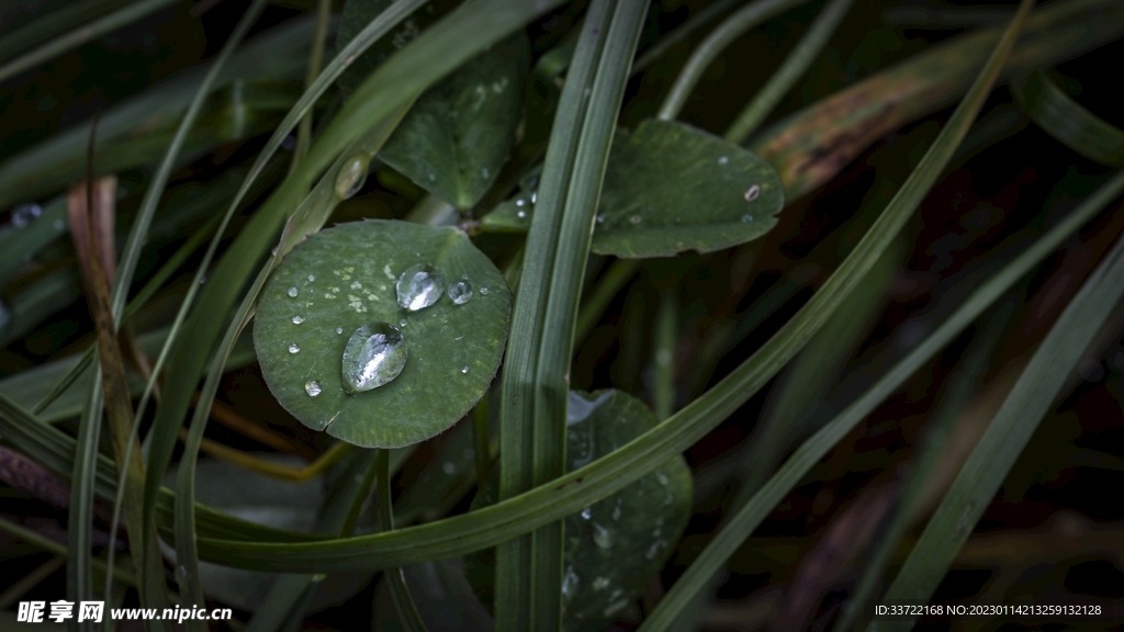 水滴水珠