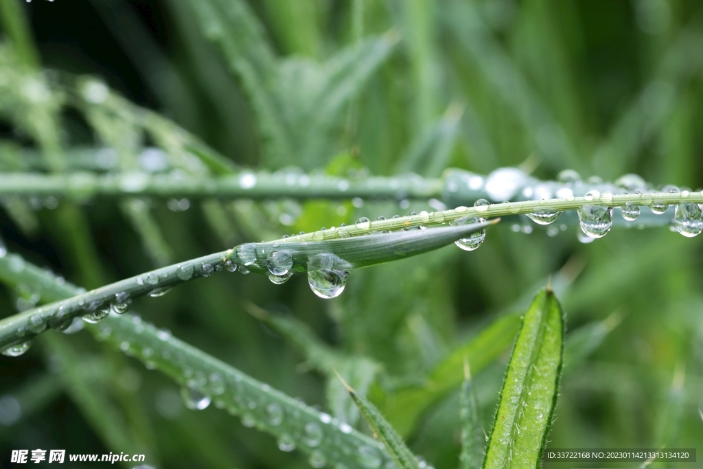 水滴水珠