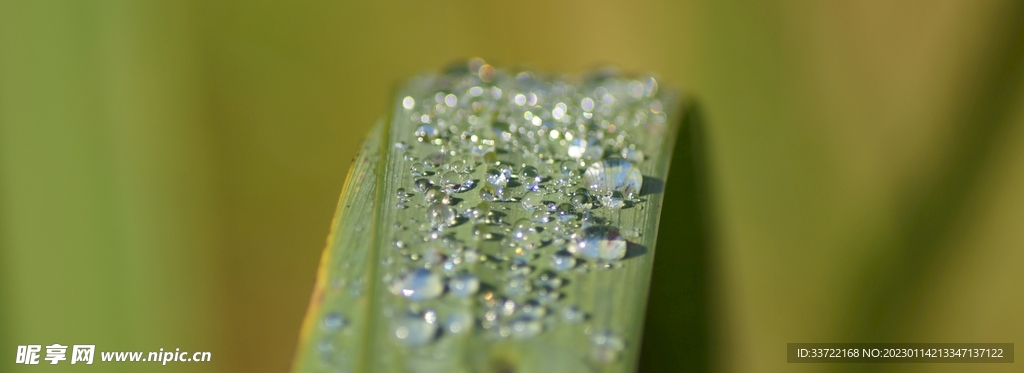 水滴水珠