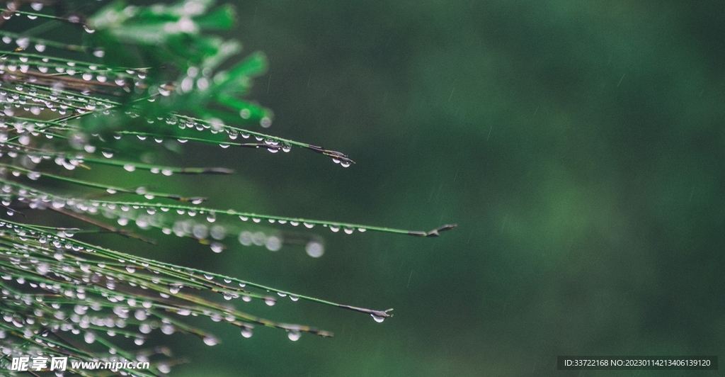 水滴水珠