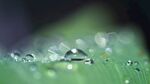 水滴水珠
