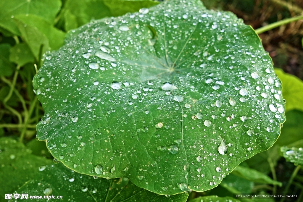 水滴水珠