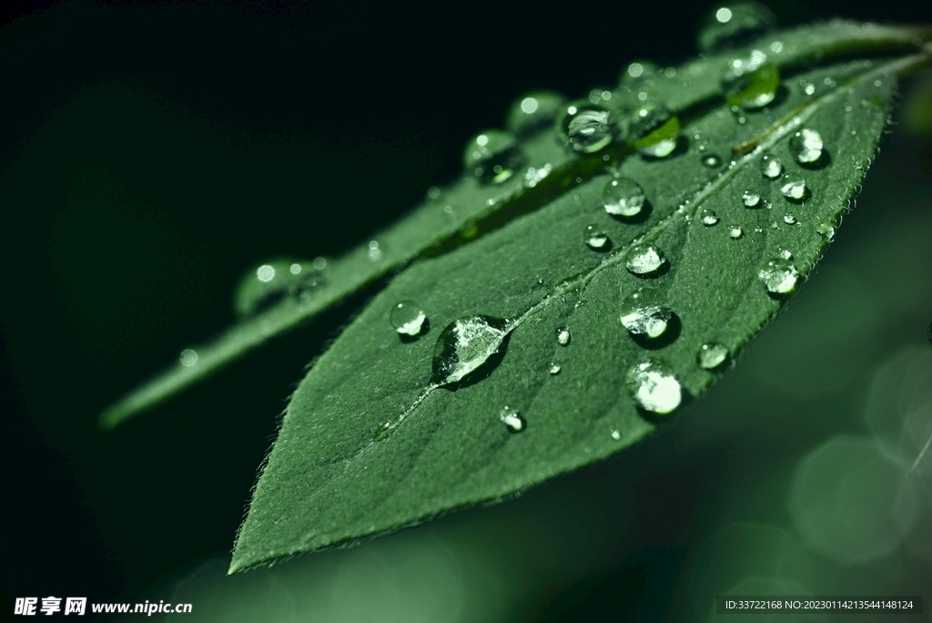 水滴水珠