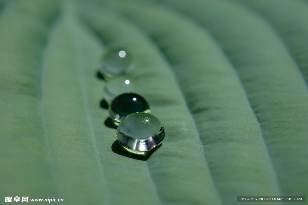 水滴水珠