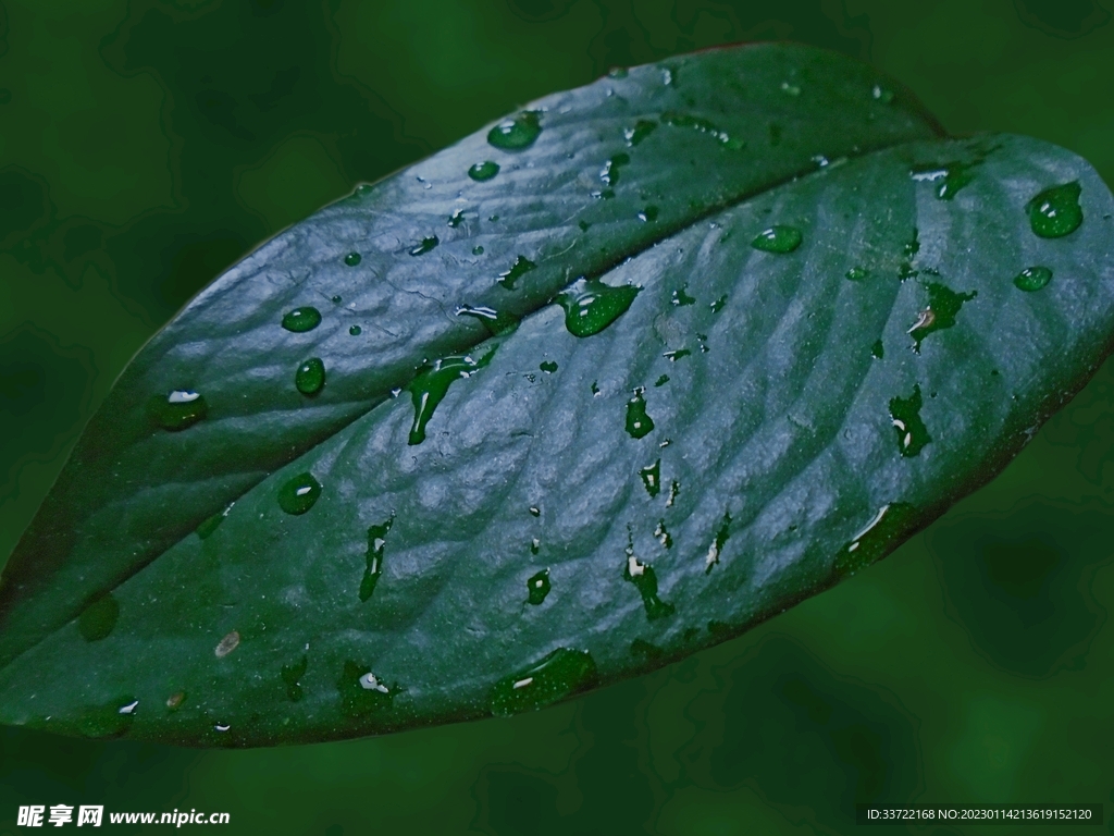 水滴水珠