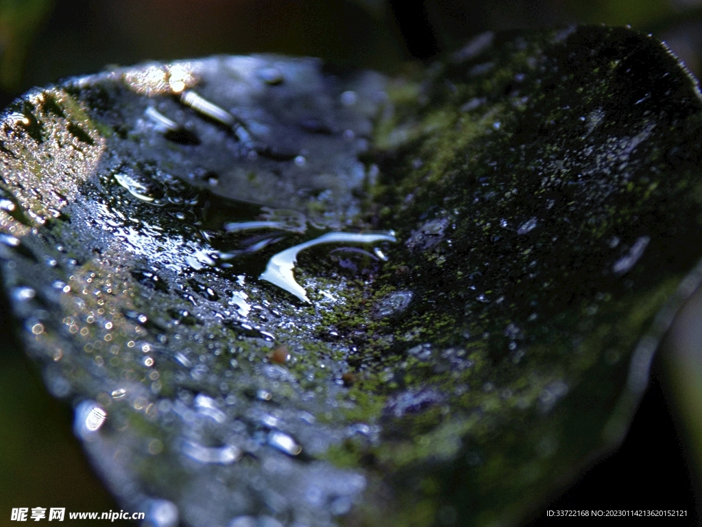 水滴水珠