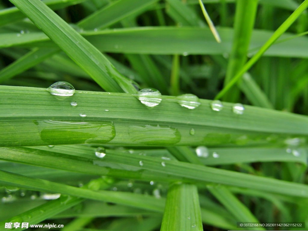 水滴水珠