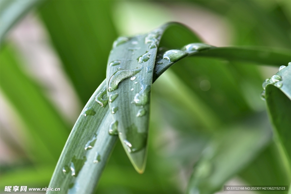 水滴水珠