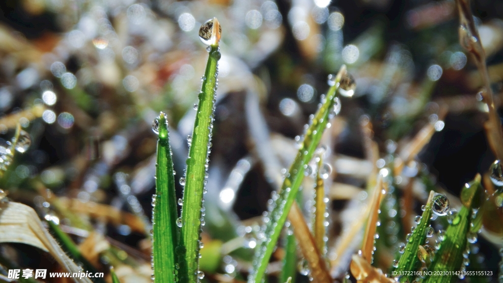 水滴水珠