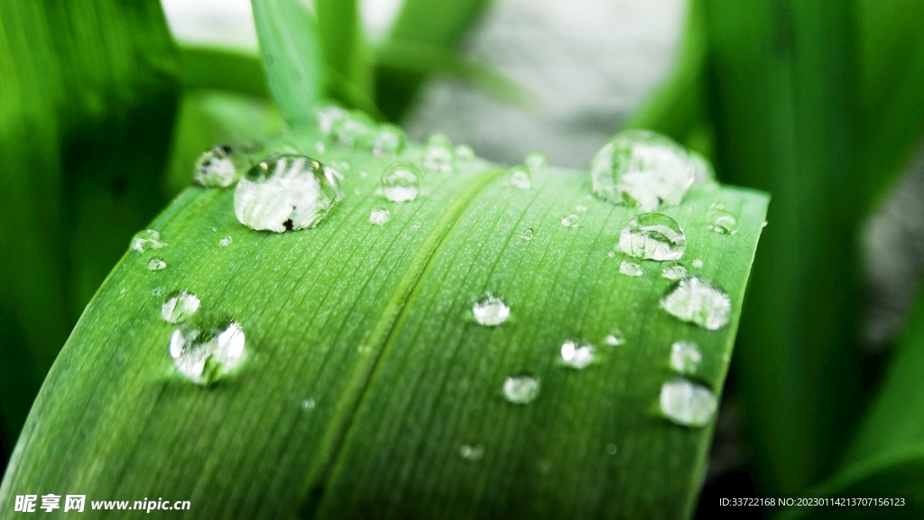水滴水珠
