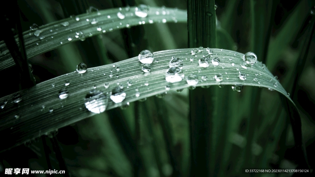 水滴水珠