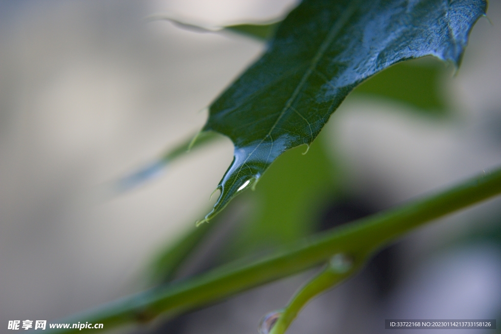 水滴水珠