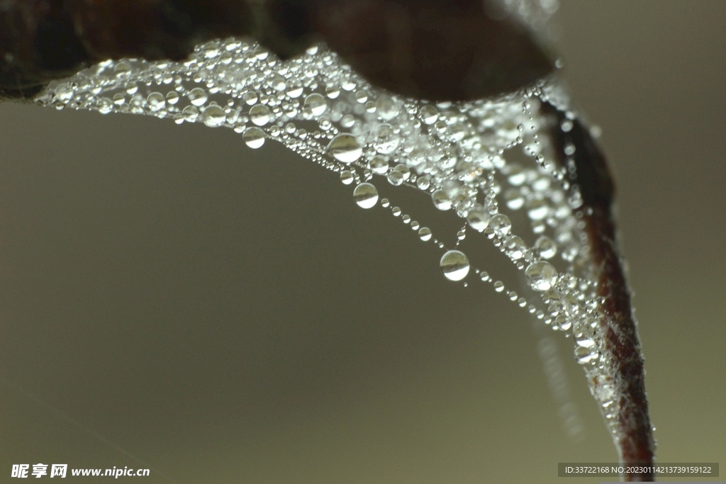 水滴水珠