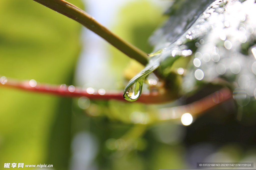 水滴水珠