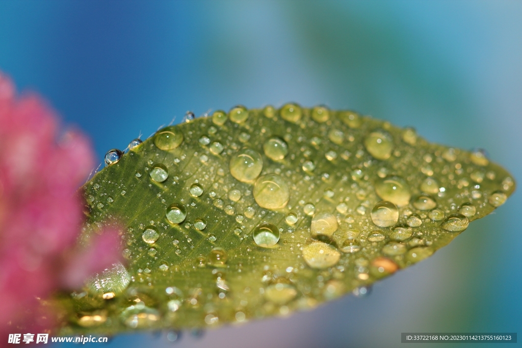 水滴水珠