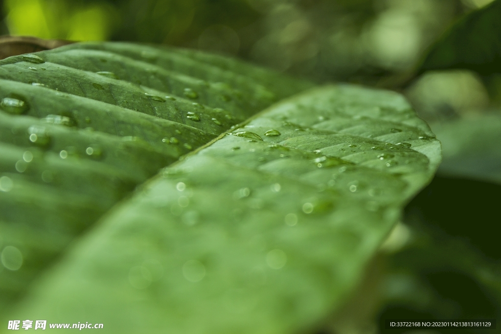 水滴水珠