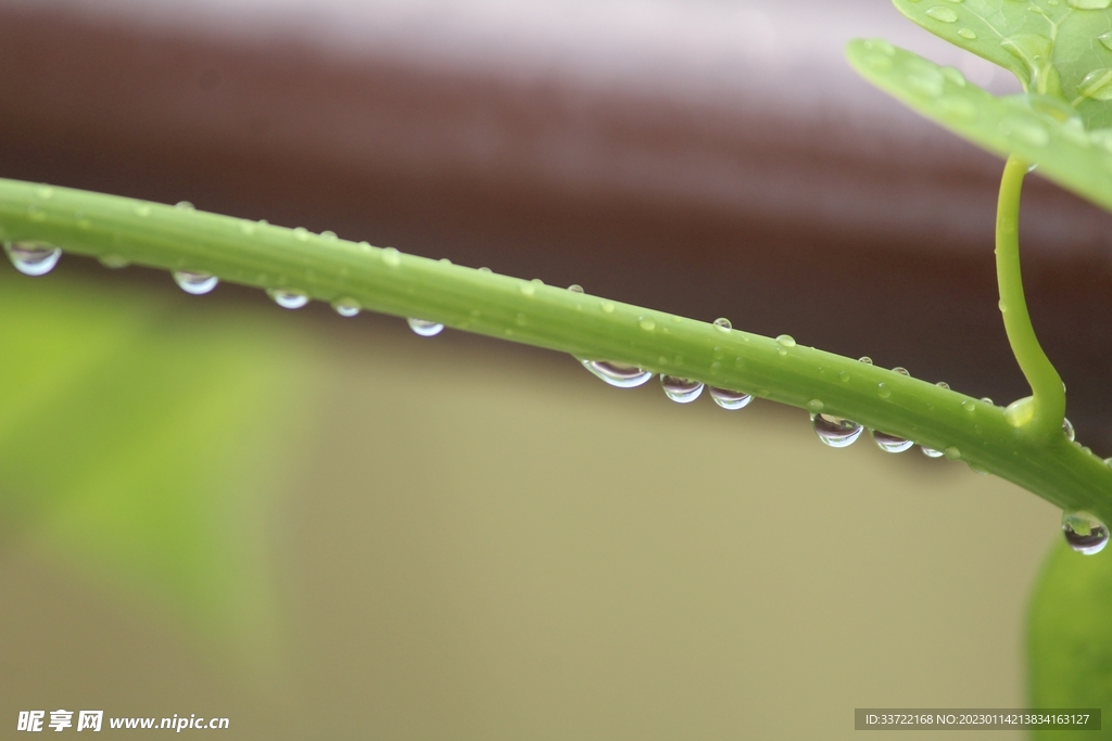 水滴水珠