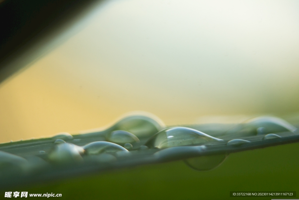 水滴水珠