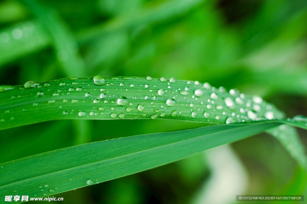 水滴水珠