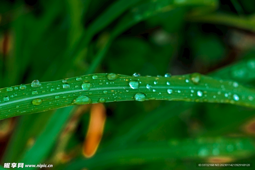水滴水珠