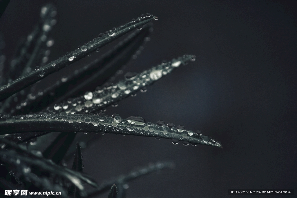 水滴水珠