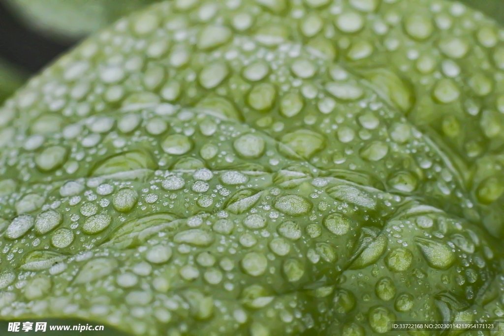 水滴水珠
