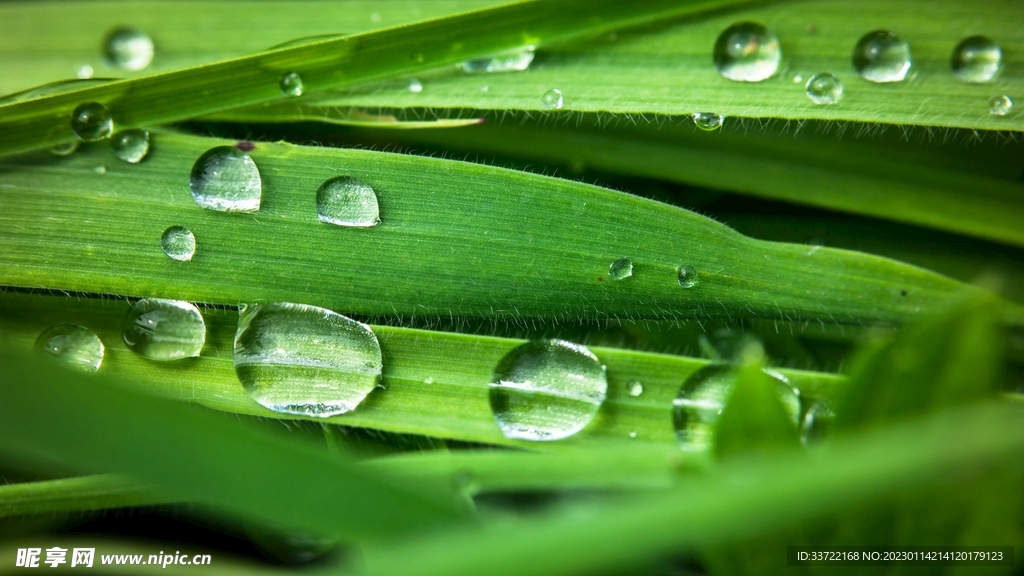 水滴水珠