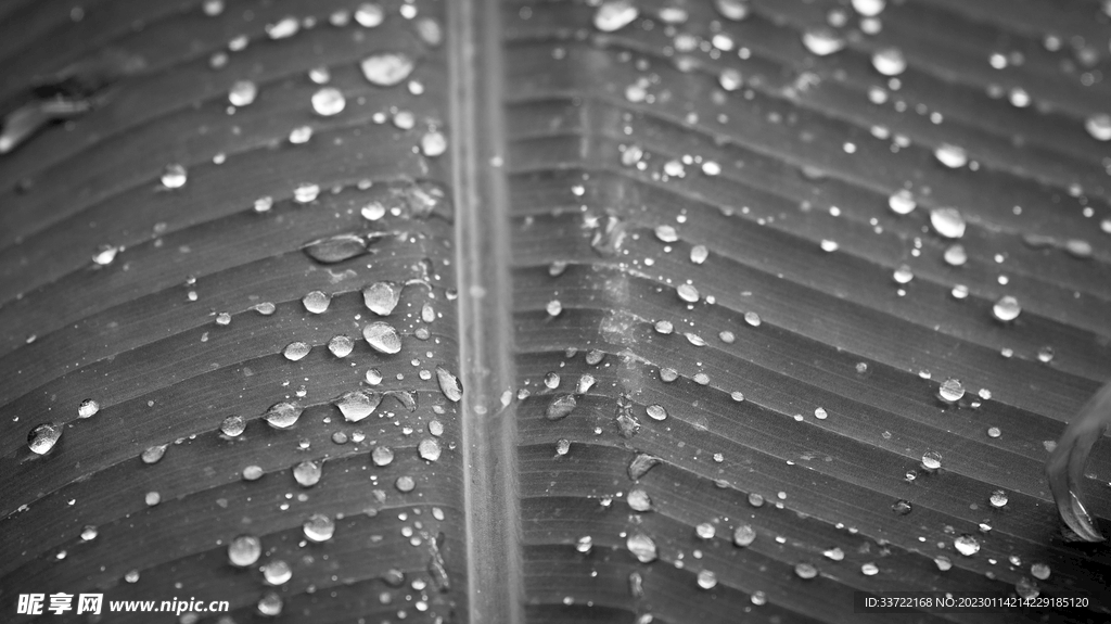 水滴水珠