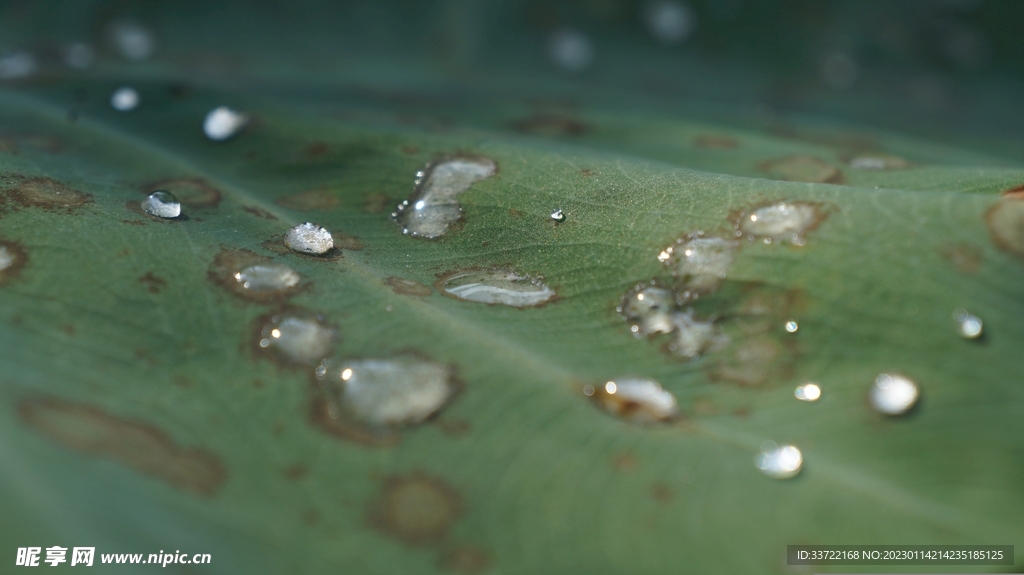 水滴水珠