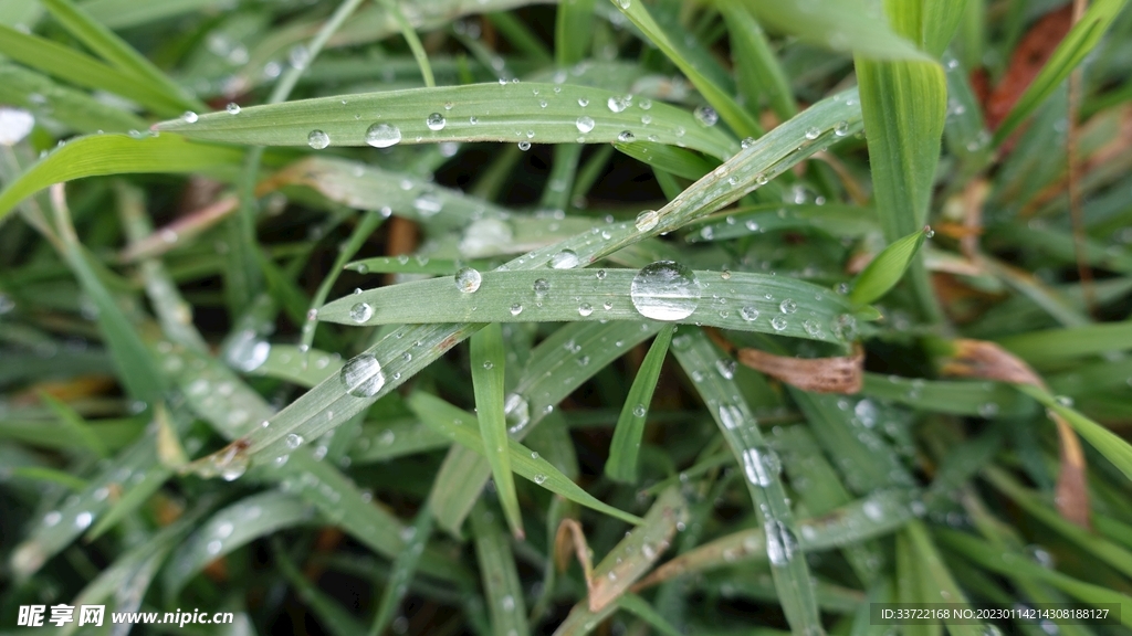 水滴水珠