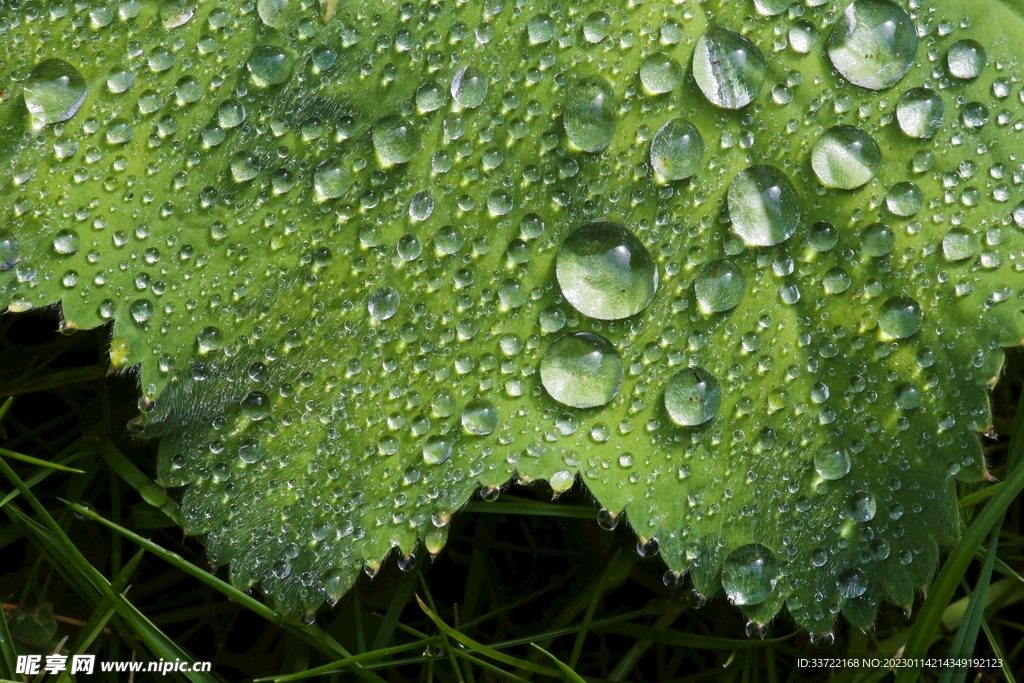 水滴水珠