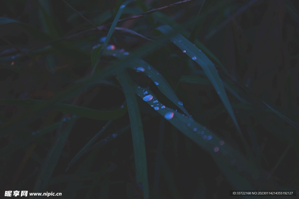 水滴水珠