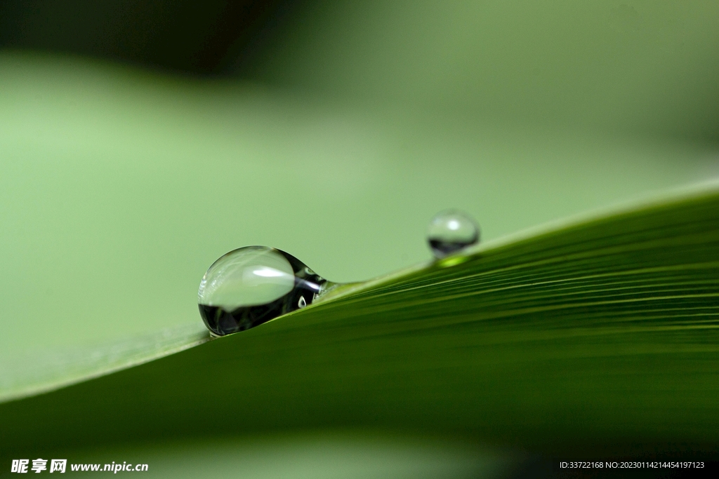 水滴水珠