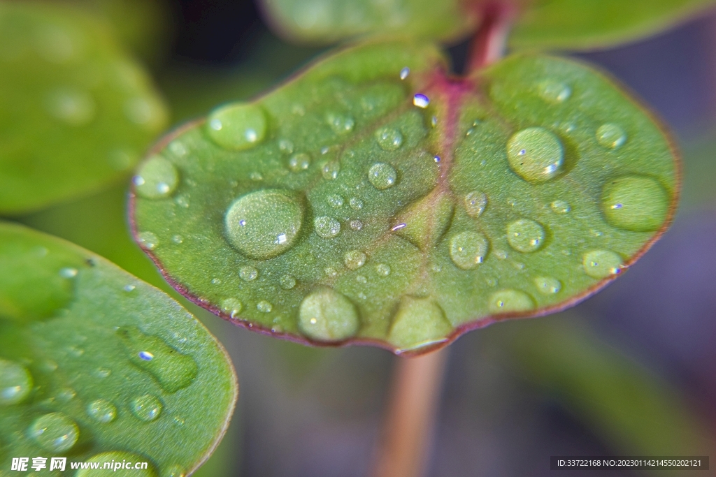 水滴水珠