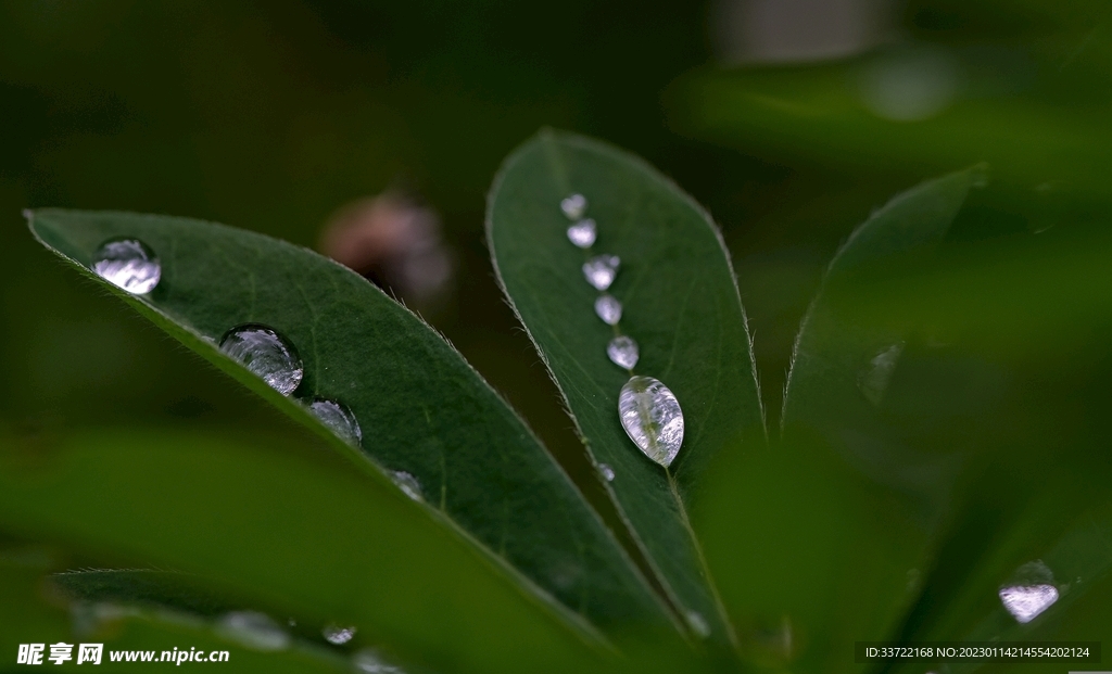 水滴水珠