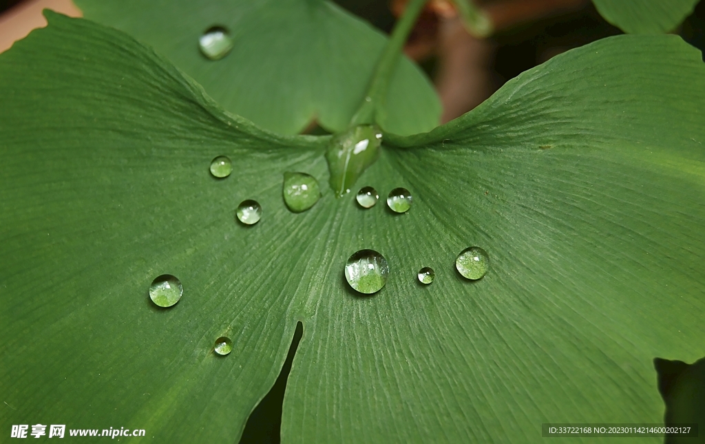 水滴水珠