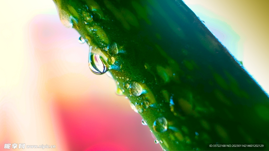 水滴水珠
