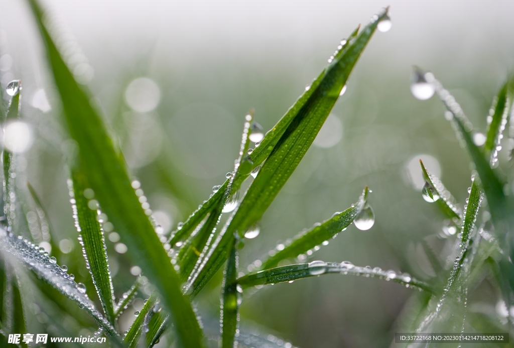 水滴水珠