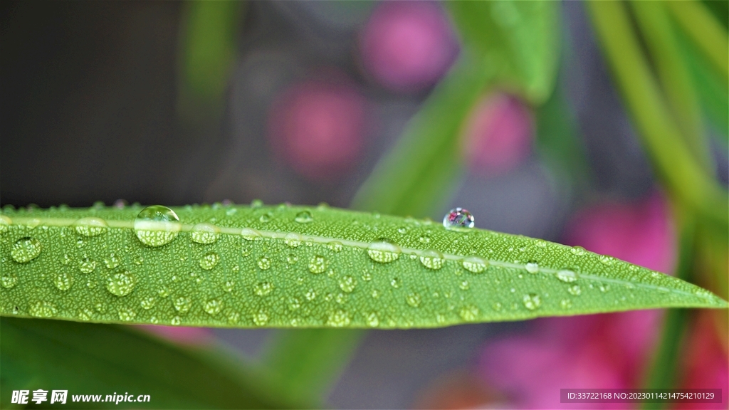 水滴水珠