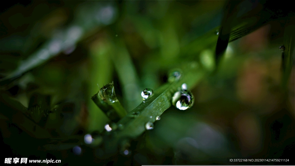 水滴水珠